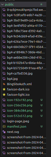 Your NextJS public directory content should contain these highlighted green files.